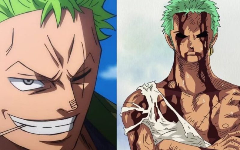 Por que Zoro pode ser o braço direito mais forte dos animes