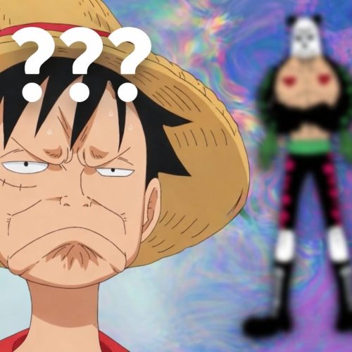 O Panda Misterioso de One Piece